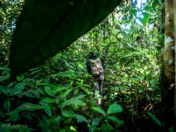Que voir en Colombie ?