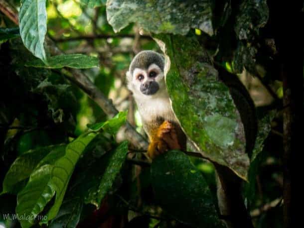 itinéraire Colombie