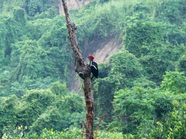 Que voir en Colombie ?