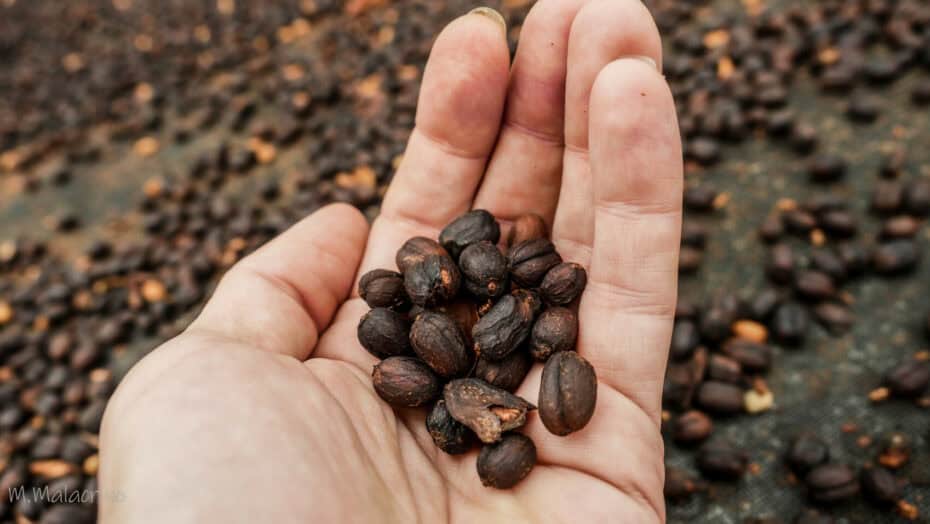 Que faire en Colombie ?