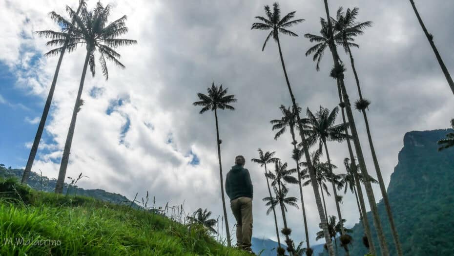 Que faire en Colombie ?