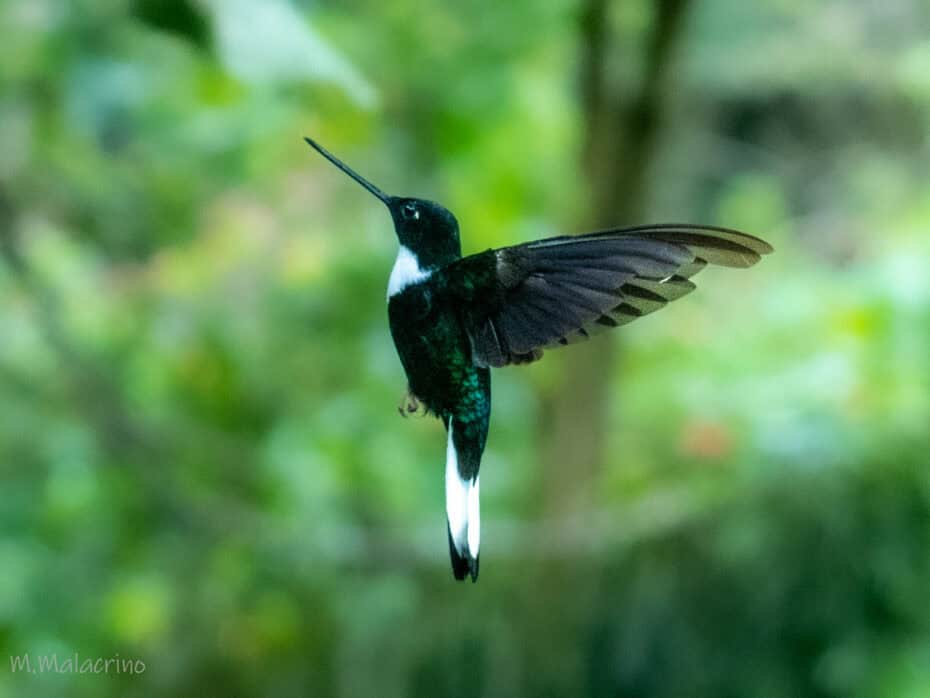 Que faire en Colombie ?