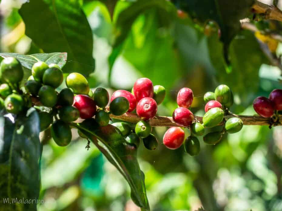 Que faire en Colombie ?