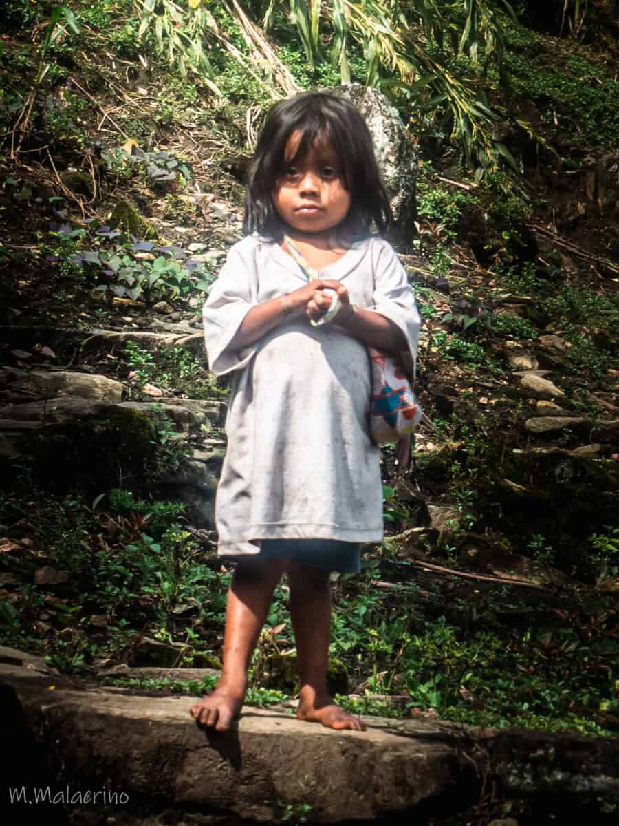 Wiwa trek ciudad perdida