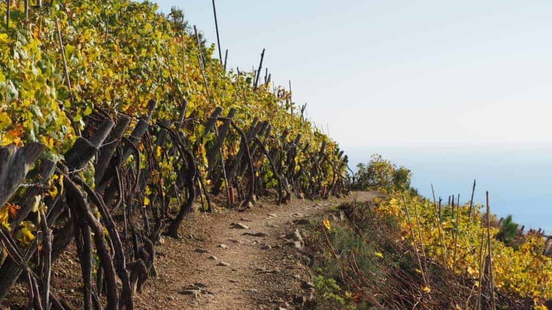 Comment visiter les Cinque Terre ? à pied !