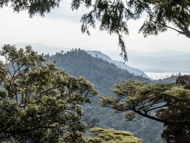 Panorama depuis le mont Misen