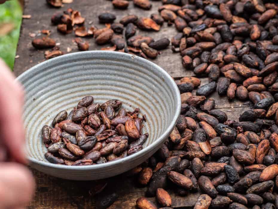 café activité lodge cuyabeno