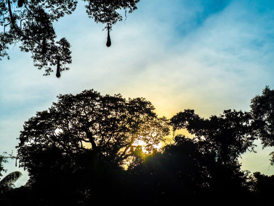Parc Cuyabeno amazonie équateur