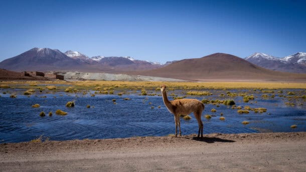Désert atacama Chili