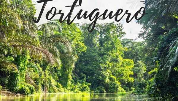 Visiter le Parc National de Tortuguero