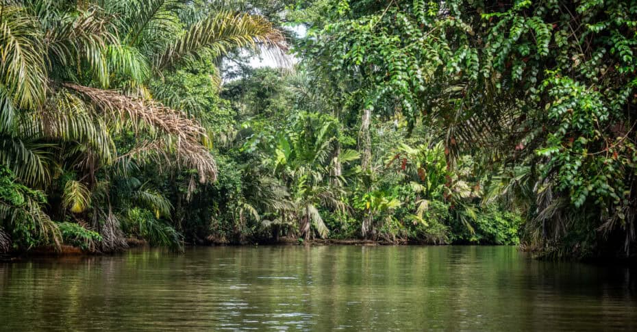 Tortuguero au Costa Rica