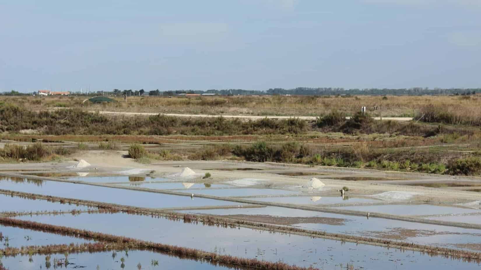 Marais Salants ile de Ré