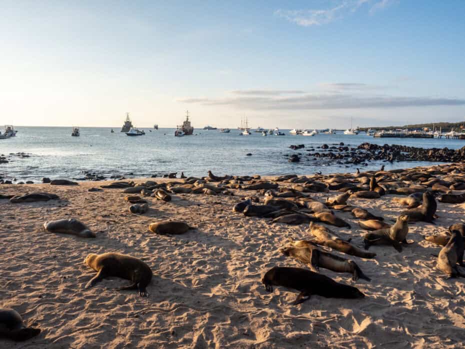 Malecon San Cristobal