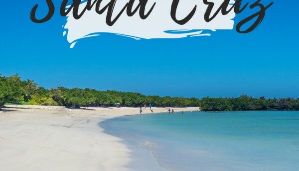 Guide santa Cruz - Galapagos