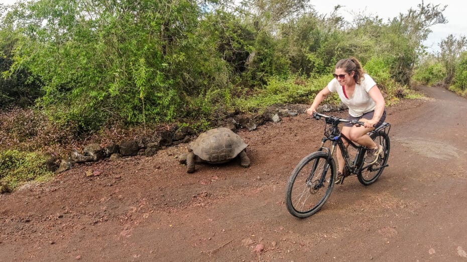 vélo Isabela galapagos