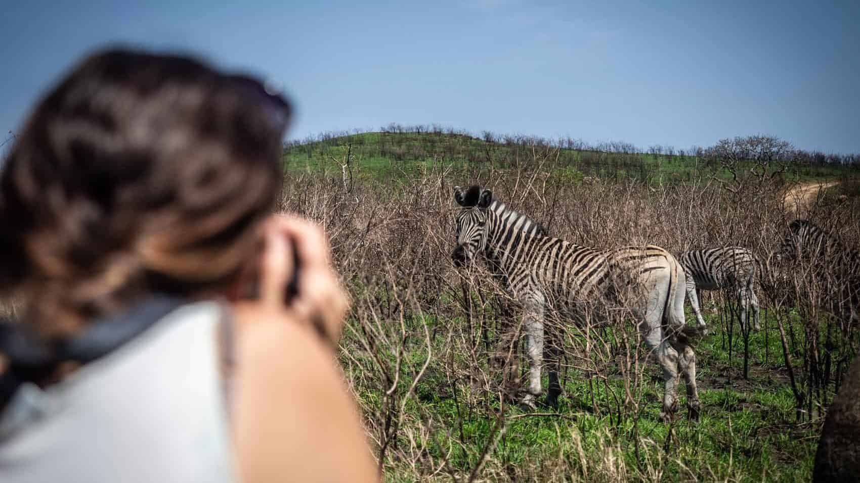 visiter le Parc Hluhluwe-iMfolozi en Afrique du Sud 