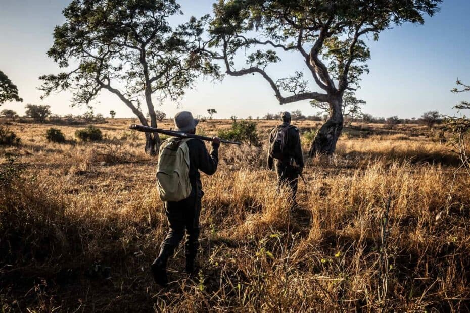 Randonnée safari afrique du sud Parc