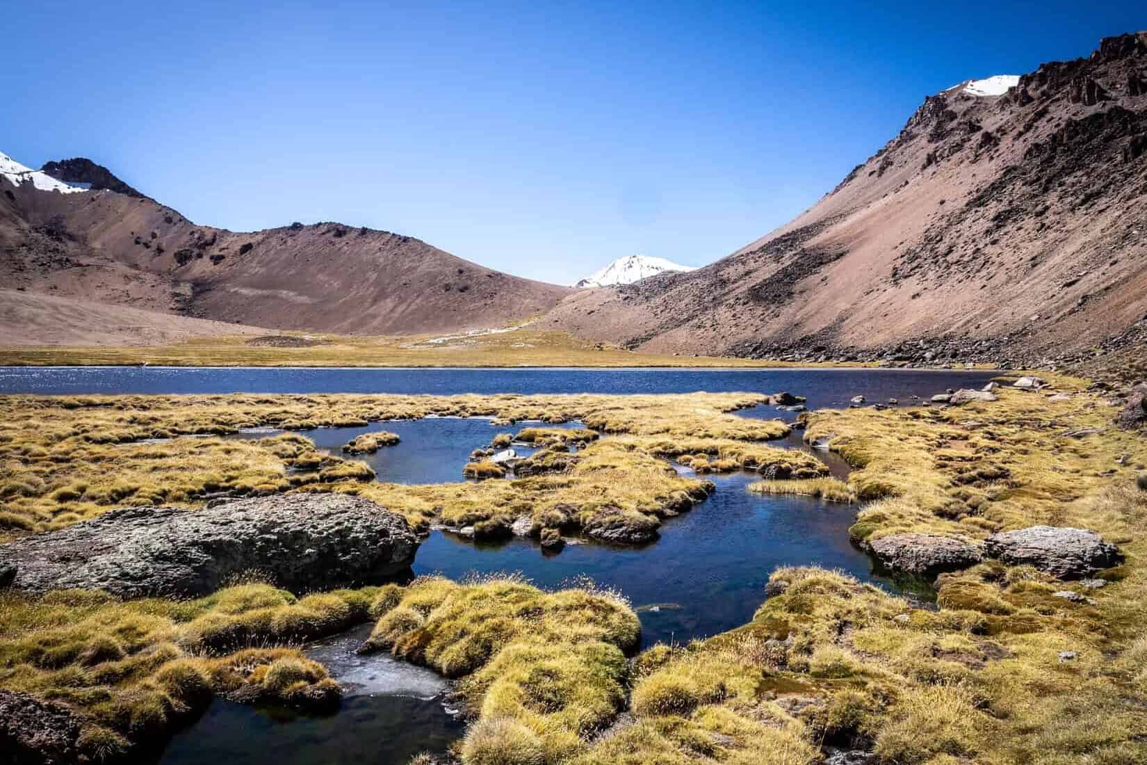 Visiter le parc Sajama