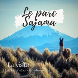 Visiter le parc Sajama en Bolivie