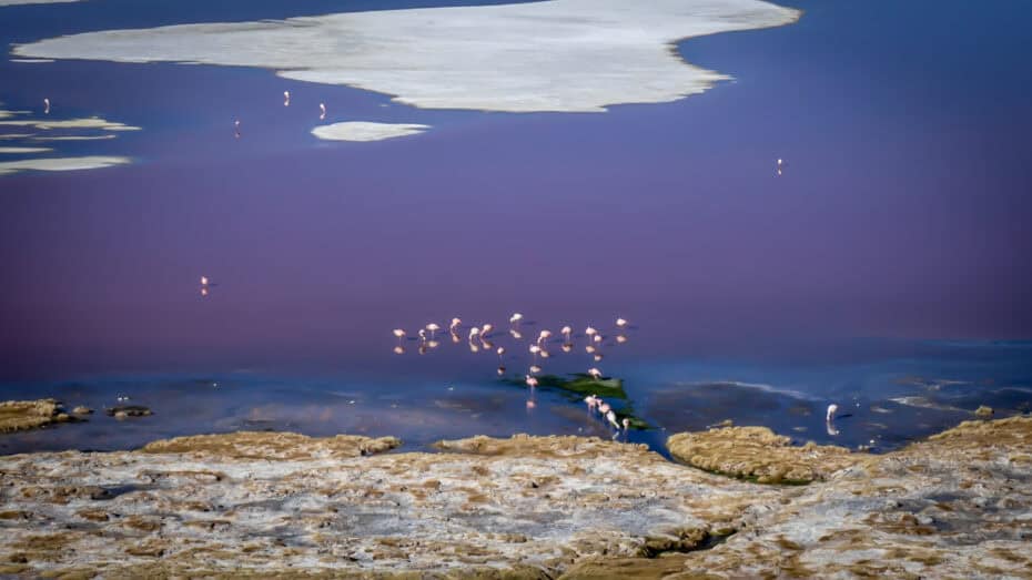 Laguna Colorada Sud Lipez