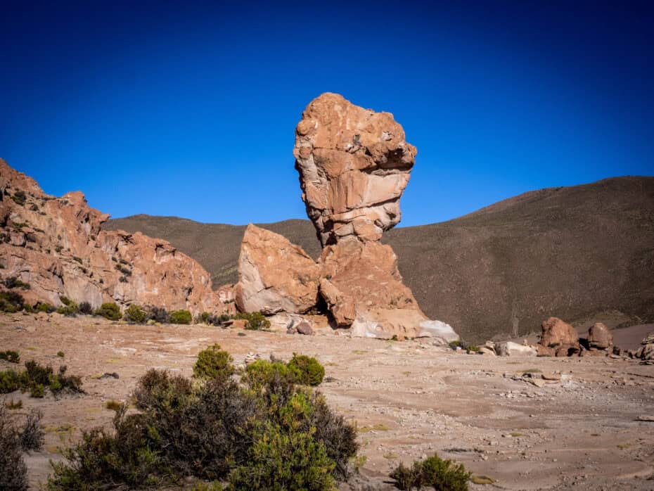 Coupe du monde Désert de Siloli
