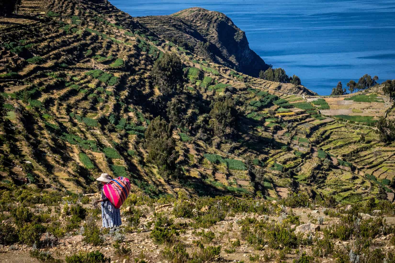 Isla del sol et la titicaca en Bolivie