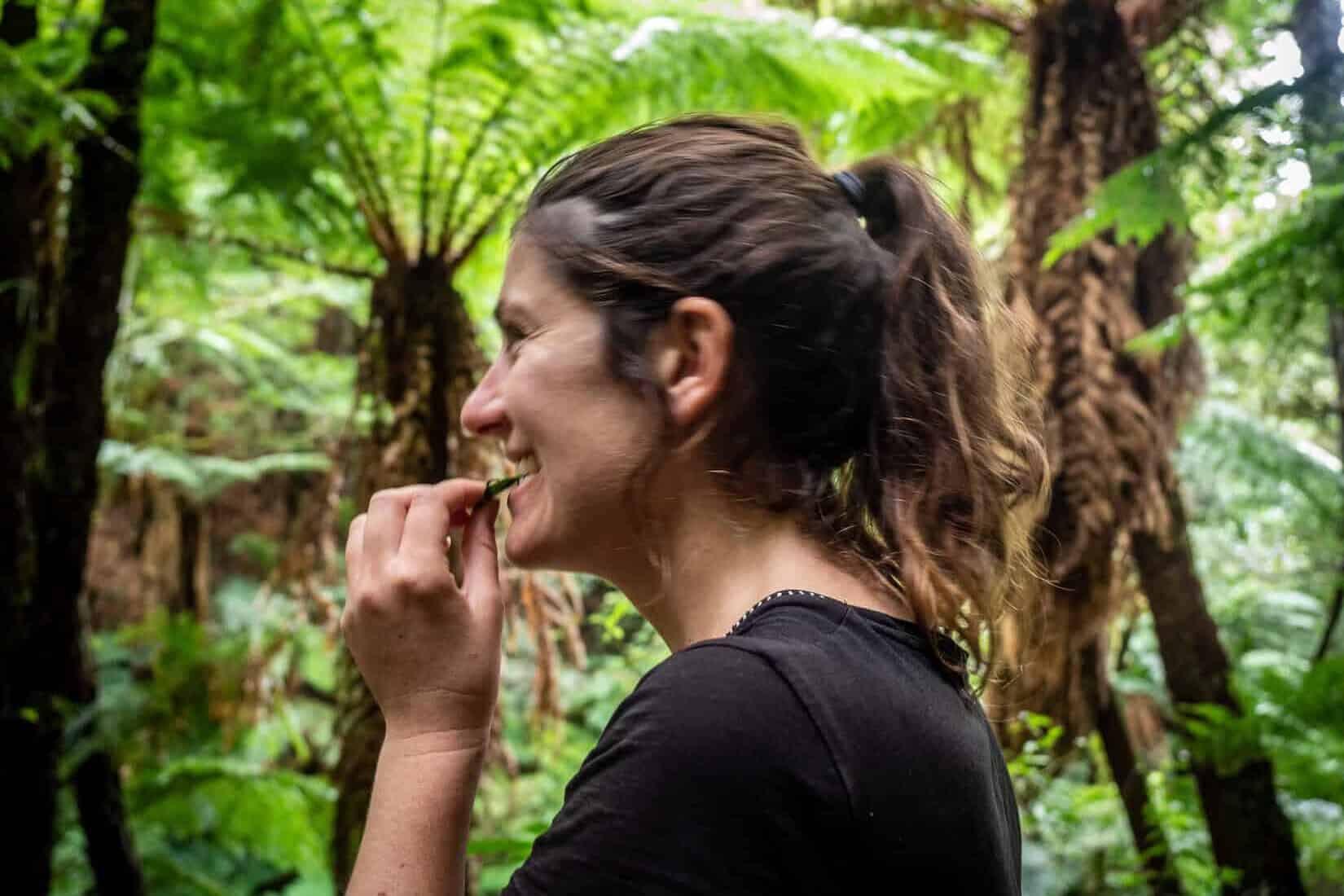 Parc Amboro Samaipata