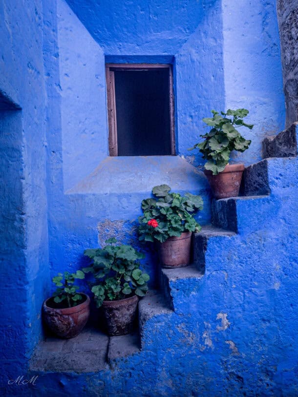 Monasterio Santa Catalina coleur