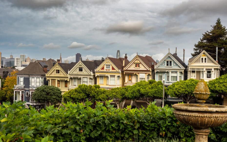 Painted Ladies