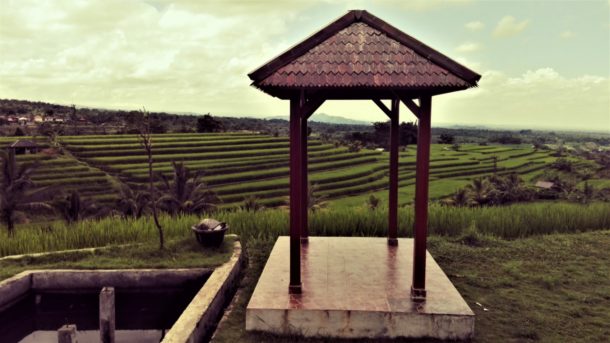 jatiluwih et ses rizières