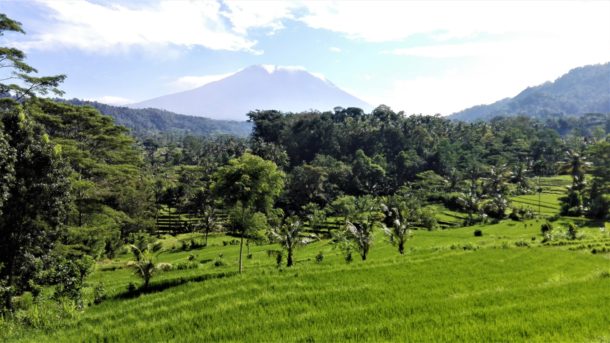 rizières et volcan de Bali
