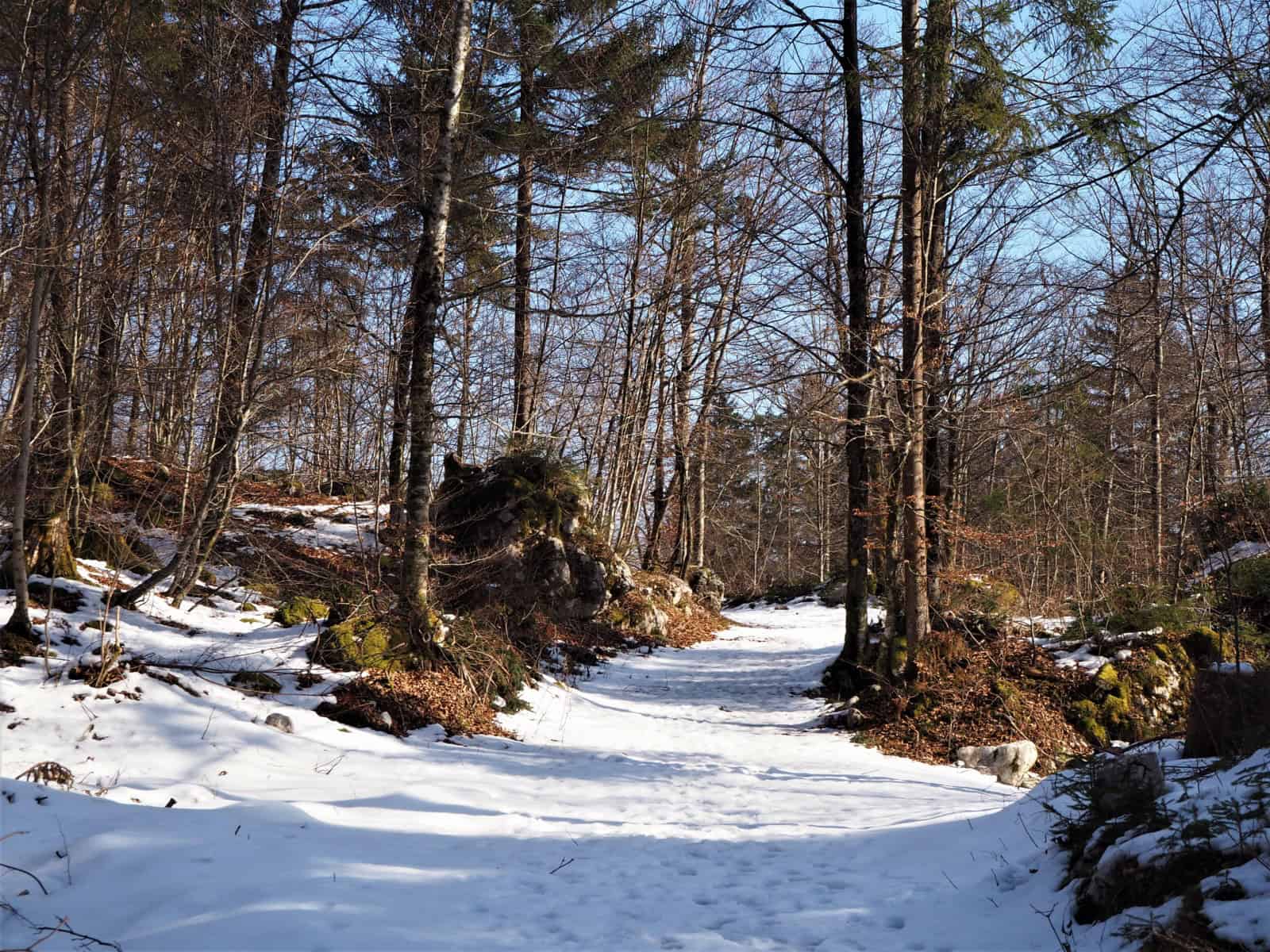 Chemin en foret, l'hiver en Slovénie