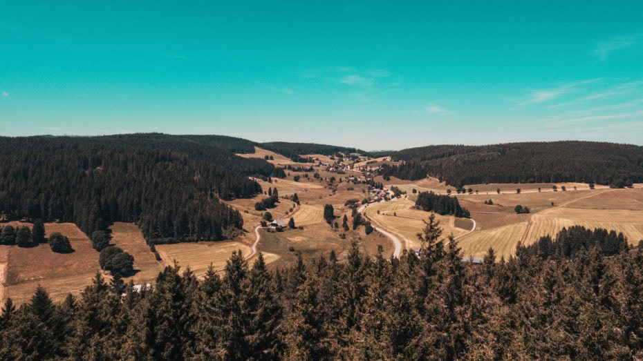 Forêt-noire campagne