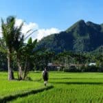 randonnée vallée d'Harau