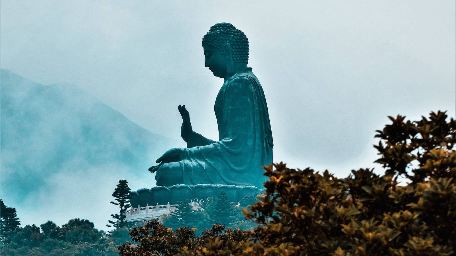 grand bouddha assis grand bouddha assis