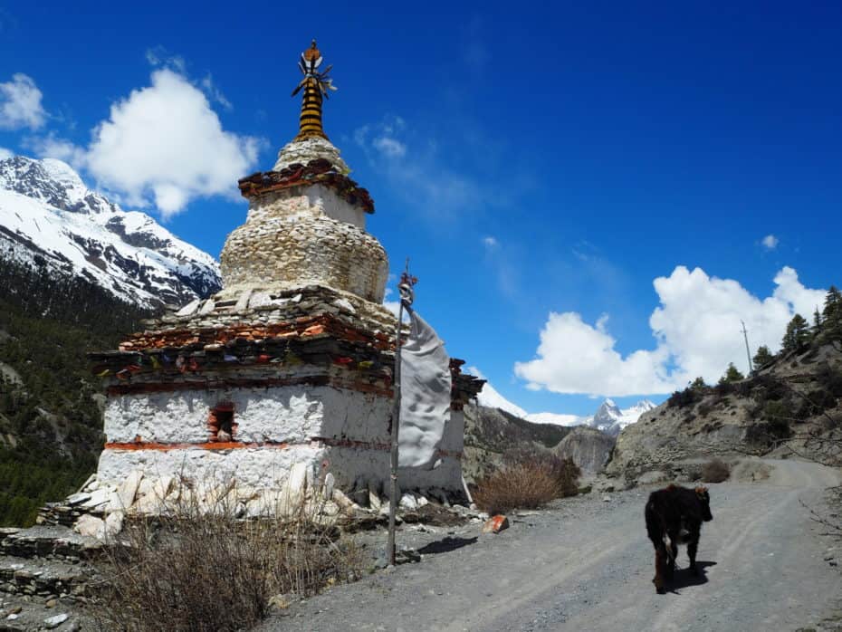 Tour des Annapurnas : Temple sur le chemin du trek des annapurna