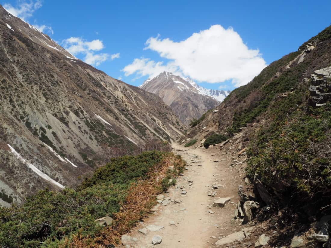 sur e trek des annapurnas