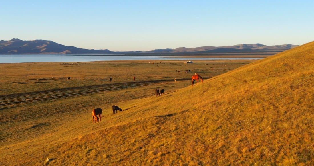 Jailoo du Kirghizistan