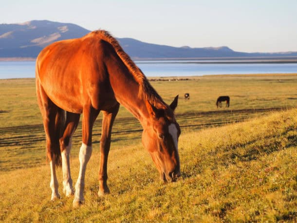 lac Song-Köl kirghizistan : lieu original et méconnu