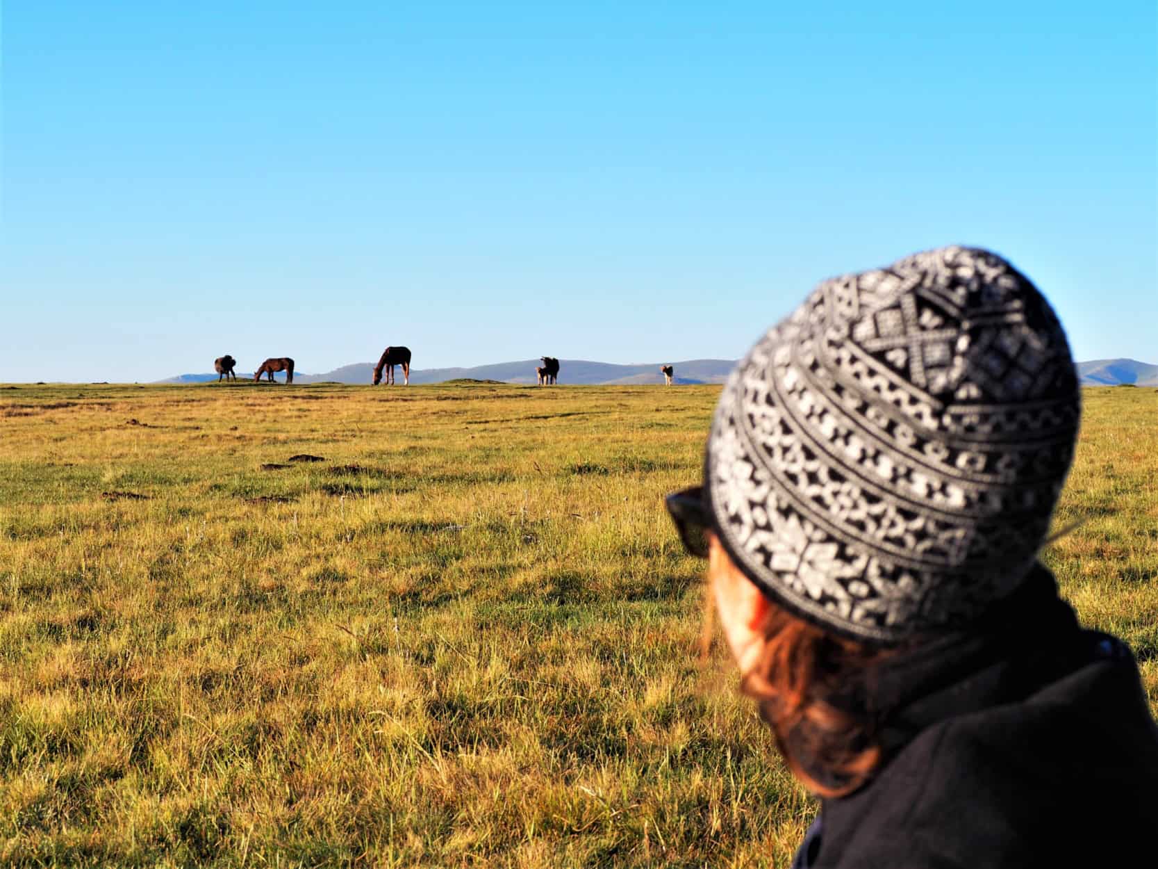 vaches et chevaux lac Song kul