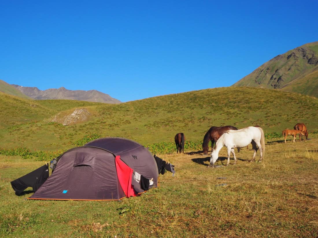 Bivouac et chevaux