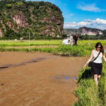 randonnée champs de riz
