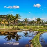 Paysage vallée d'Harau