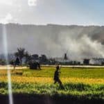 Photo rizières Sumatra