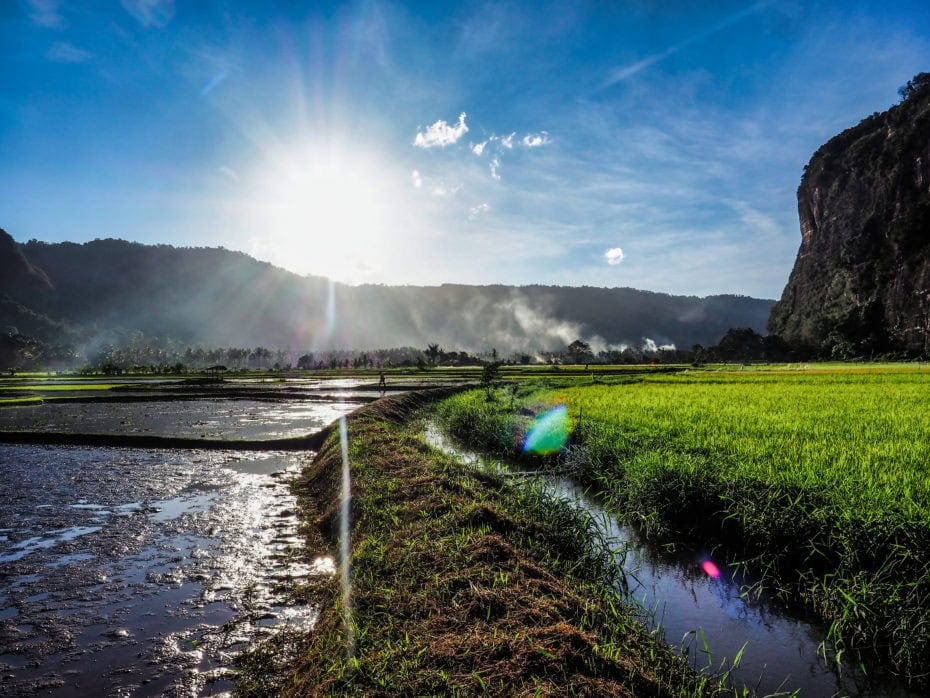 plus belles rizières