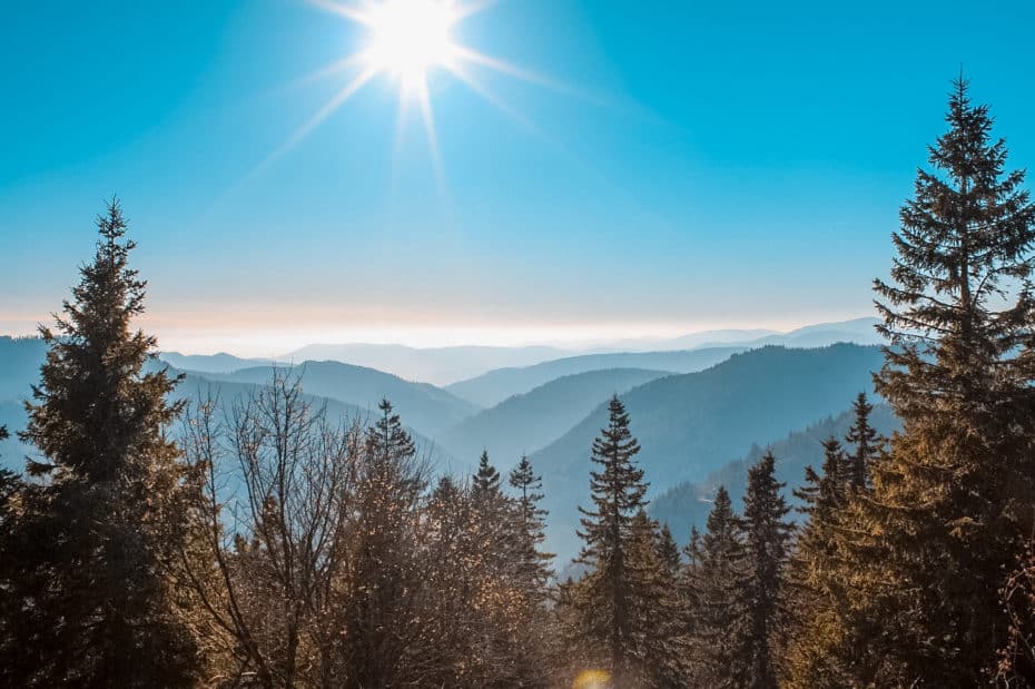 forêt noire Feldberg