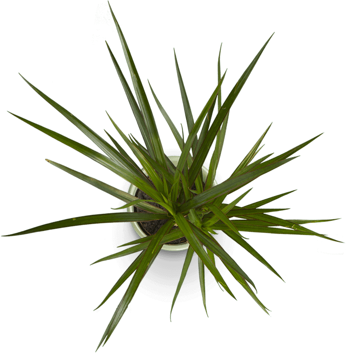 Image is not available