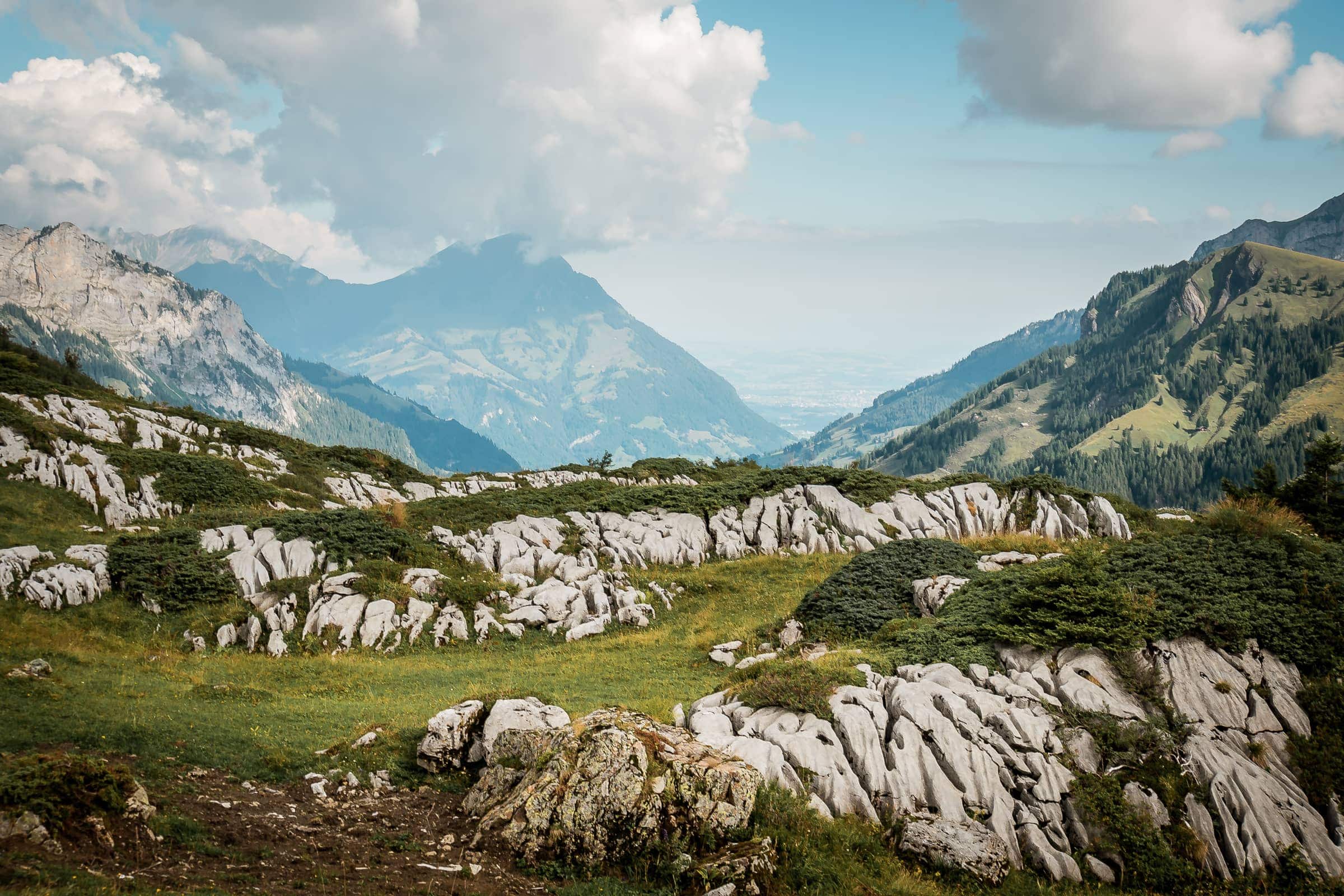 Ausblick bis zum Thunersee
