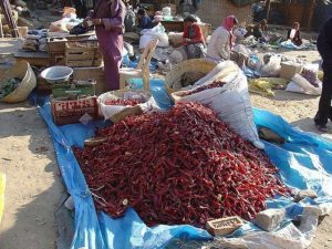 Got a ton of chilis? Dry them whole!