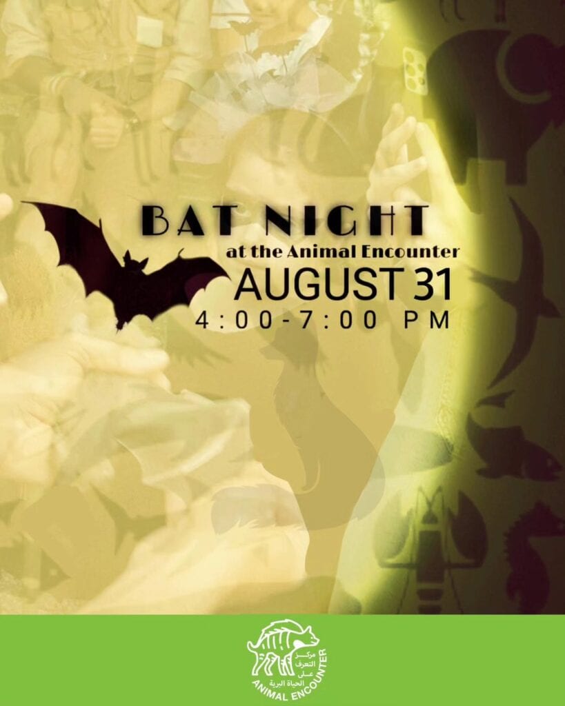 Bat Night – Animal Encounter – Aley